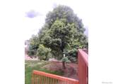 905 Woodbine Drive - Photo 21