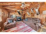 31720 Poudre Canyon Road - Photo 6