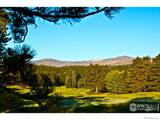 4 Fox Meadow Lane - Photo 15