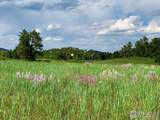 4 Fox Meadow Lane - Photo 4