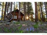 1217 Big Owl Road - Photo 20