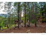 1217 Big Owl Road - Photo 21