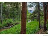 1217 Big Owl Road - Photo 7