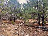  Mill Run Road - Photo 3