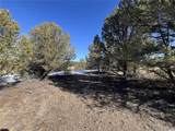 10118 Rawhide Creek Road - Photo 2
