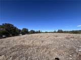 10118 Rawhide Creek Road - Photo 16