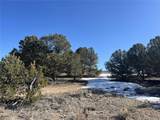 10118 Rawhide Creek Road - Photo 4