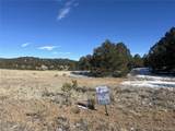 10118 Rawhide Creek Road - Photo 5