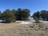 10118 Rawhide Creek Road - Photo 10