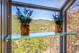 617 Hummingbird Trail - Photo 10