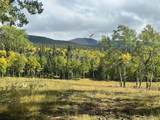 Lot 2843 Wendt Lane - Photo 1