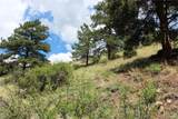 200 Two Brothers Road - Photo 16