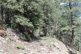 200 Two Brothers Road - Photo 19
