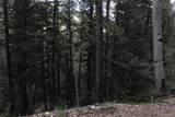 200 Two Brothers Road - Photo 20