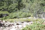 200 Two Brothers Road - Photo 22