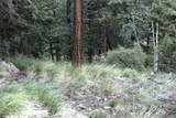 200 Two Brothers Road - Photo 27