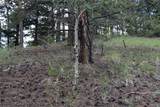 200 Two Brothers Road - Photo 29