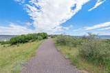 3903 Old Oaks Street - Photo 48