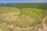 Lot 2 County Road 51 - Photo 11