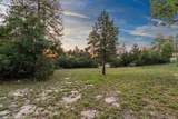 1961 Via Los Pinon - Photo 7