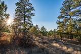 10421 Remmick Ridge Road - Photo 12