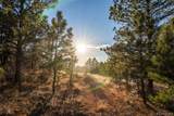 10421 Remmick Ridge Road - Photo 13