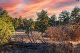 10421 Remmick Ridge Road - Photo 8