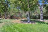 635 Alton Way - Photo 12