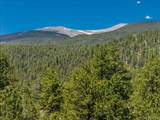  Overlook  Dr - Photo 1