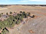 10625 Big Sky Trail - Photo 4