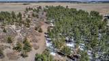10625 Big Sky Trail - Photo 34