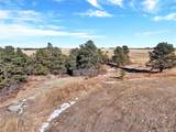10625 Big Sky Trail - Photo 5