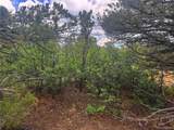 106 Colorado Land & Grazing - Photo 2