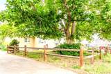 4373 Moore Street - Photo 4