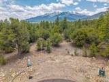 28922 Timber Ridge - Photo 9