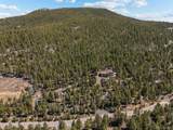 8724 Armadillo Trail - Photo 3