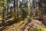 440 Gold Trail Circle - Photo 21