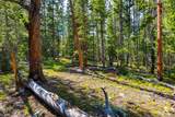 440 Gold Trail Circle - Photo 4