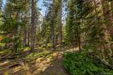 440 Gold Trail Circle - Photo 5