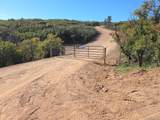 5230 Tall Horse Trail - Photo 2