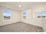 3732 Kenai Street - Photo 6
