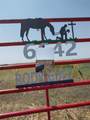 6642 Co Rd I - Photo 1
