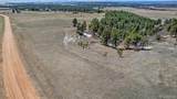 10625 Big Sky Trail - Photo 11