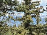2092 Stagestop Road - Photo 19
