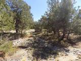  Little Bear Road - Photo 2