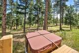 12929 Piano Meadows Drive - Photo 41