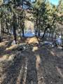 10625 Big Sky Trail - Photo 19