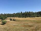 10625 Big Sky Trail - Photo 25