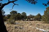  Naropa Tract - Photo 14