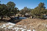  Naropa Tract - Photo 16